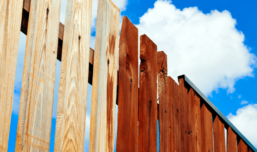 FENCE PAINTING